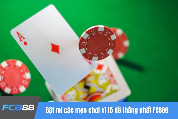 Bật mí các mẹo chơi xì tố dễ thắng nhất FCB88