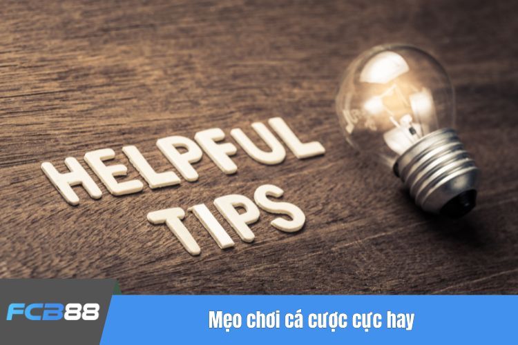 Mẹo chơi cá cược cực hay